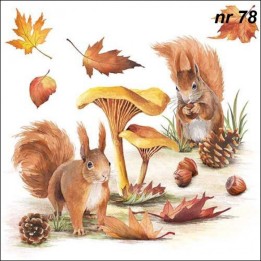 Squirrel go nuts servet 33x33cm