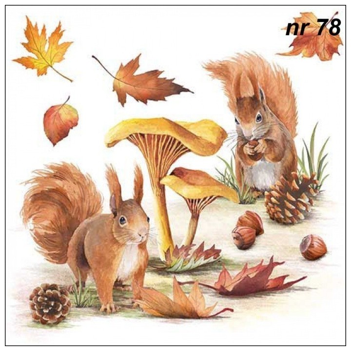 Squirrel go nuts servet 33x33cm