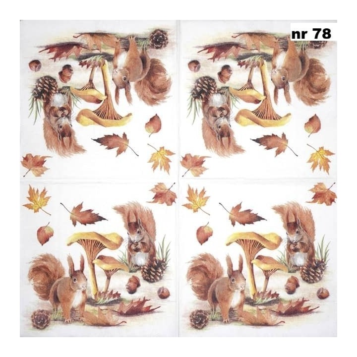 Squirrel go nuts servet 33x33cm