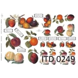 Decoupagepapier ITD D0249M