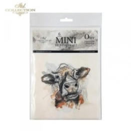 Rijstpapierset RSM003