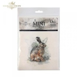 Rijstpapierset RSM005