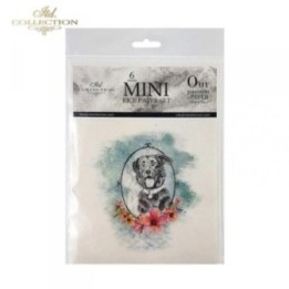Rijstpapierset RSM007
