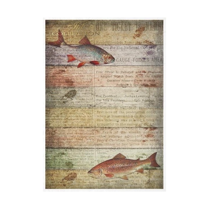 Creatieve set RS010 Herenwereld