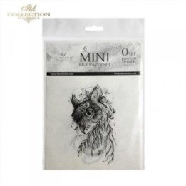 Rijstpapierset RSM012