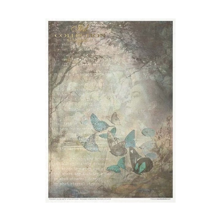 Creatieve set RP032 Oud dagboek - Vluchtige momenten