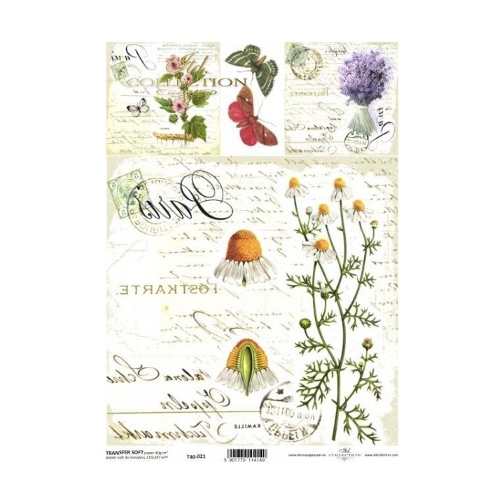 Transferpapier ITD T4021