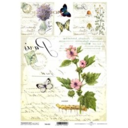 Transferpapier ITD T4022