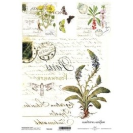 Transferpapier ITD T4032