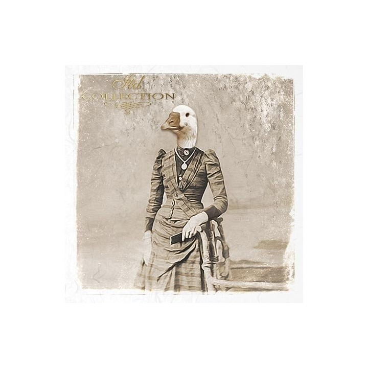Rijstpapierset RSM033