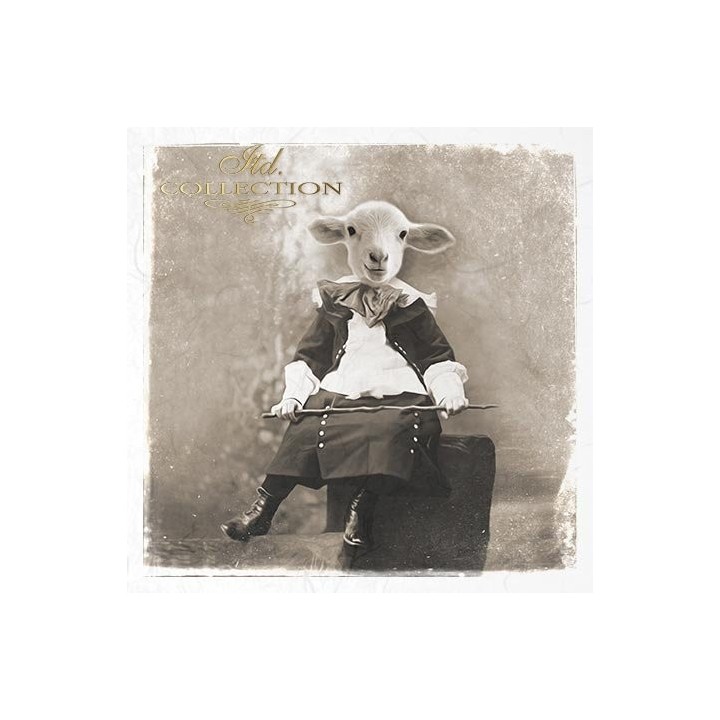 Rijstpapierset RSM033