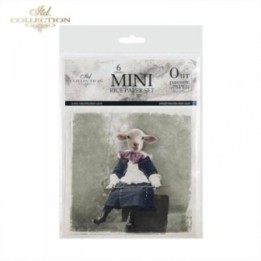 Rijstpapierset RSM034