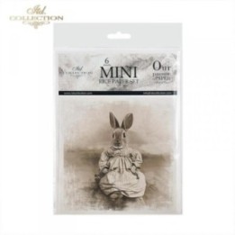 Rijstpapierset RSM035