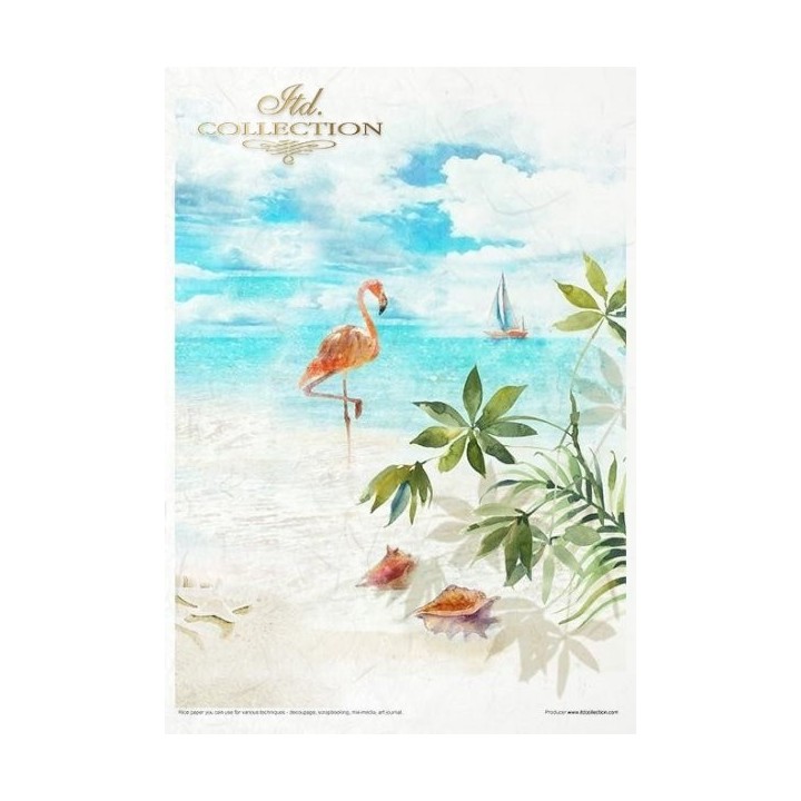 Creatieve set RP006 Tropische dromen