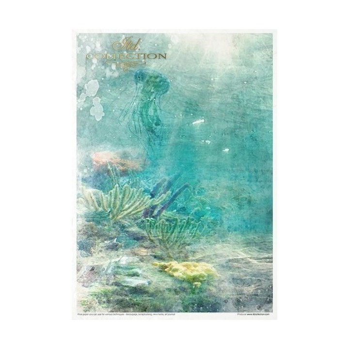 Creatieve set RP006 Tropische dromen
