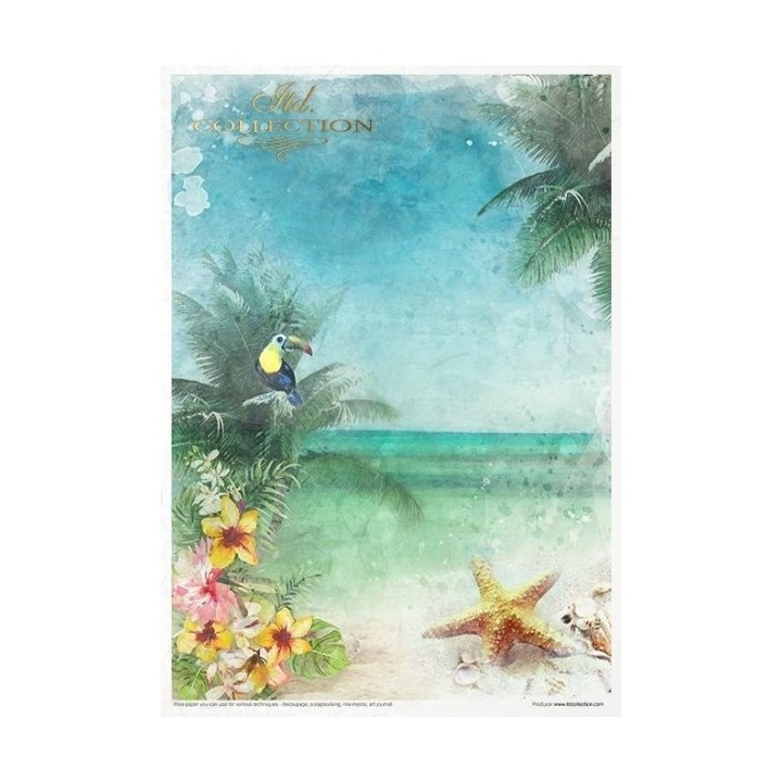 Creatieve set RP006 Tropische dromen