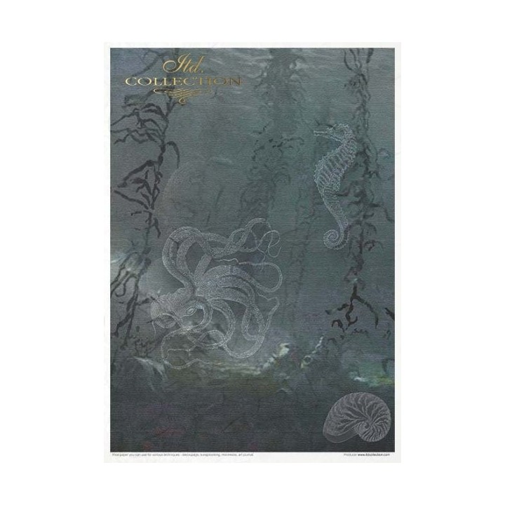 Creatieve set RP039 Nautische expeditie