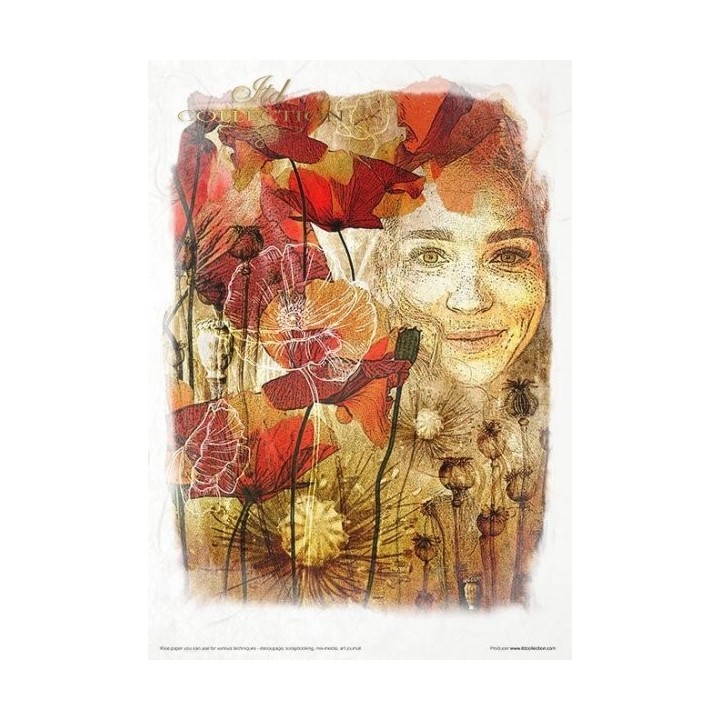 Creatieve set RP041 Kruidenier