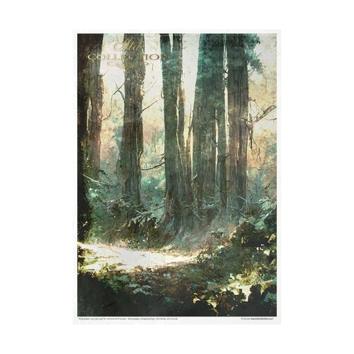 Creatieve set RP045 Mysterieus bos