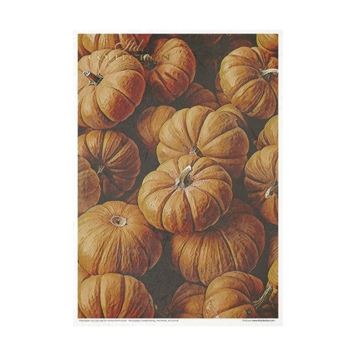 Creatieve set RP046 Halloween