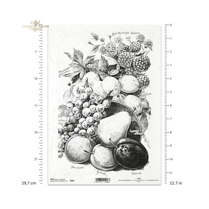 Rijstpapier R0506