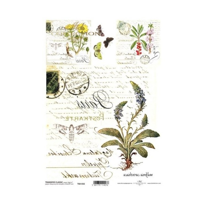 Transferpapier ITD T6032