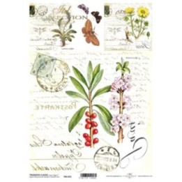 Transferpapier ITD T6031
