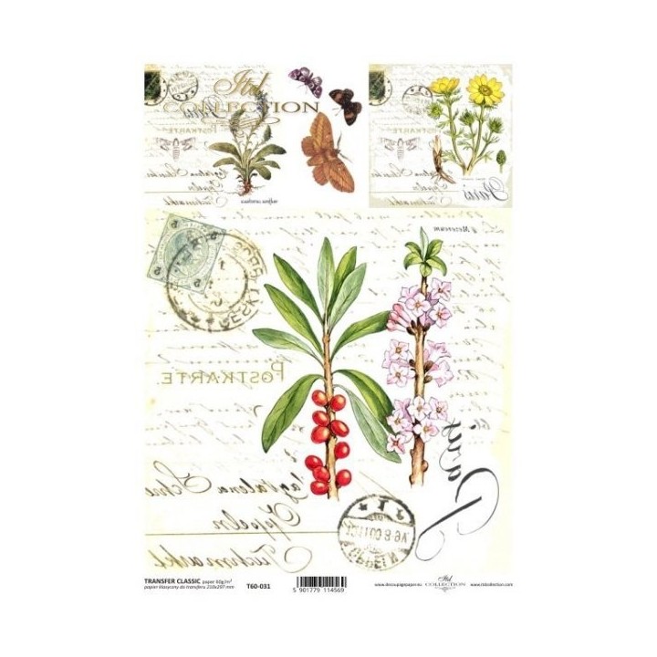 Transferpapier ITD T6031