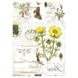 Transferpapier ITD T6030