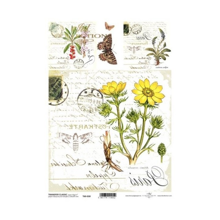 Transferpapier ITD T6030