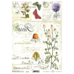 Transferpapier ITD T6021