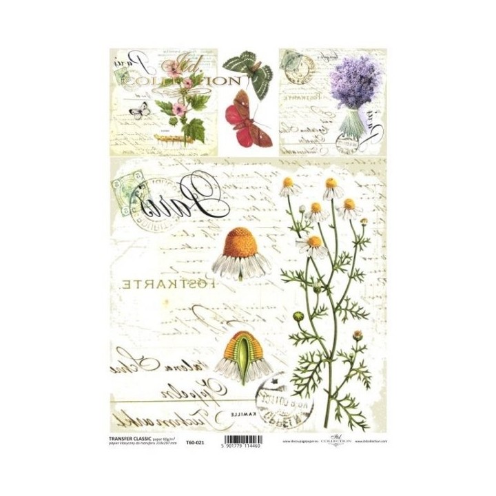 Transferpapier ITD T6021