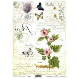 Transferpapier ITD T6022