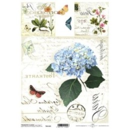 Transferpapier ITD T6025