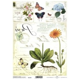 Transferpapier ITD T6026