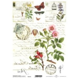 Transferpapier ITD T6027