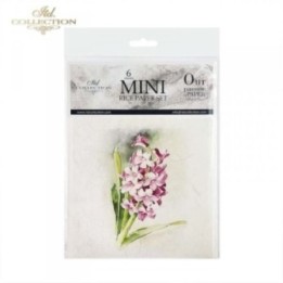 Rijstpapierset RSM073