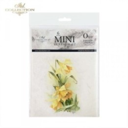 Rijstpapierset RSM074