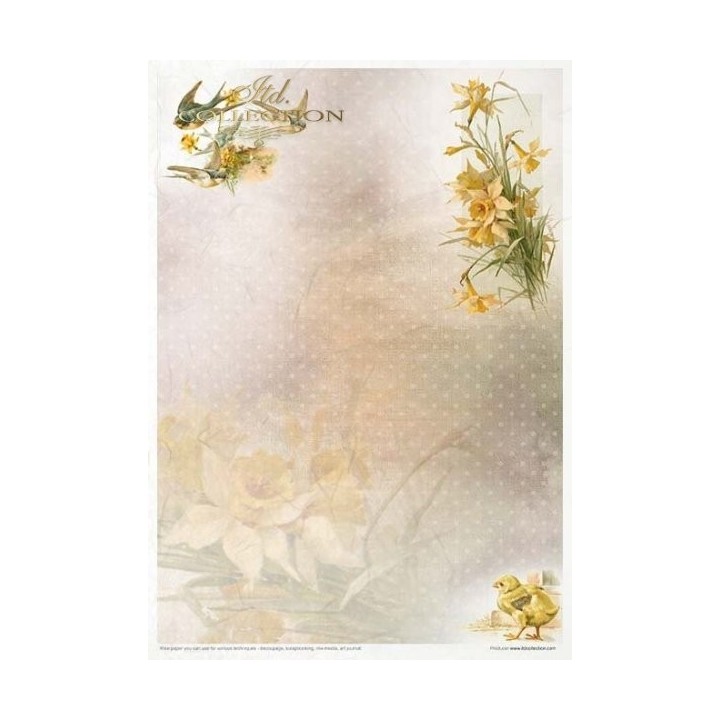 Creatieve set RP051 Lente-impressies