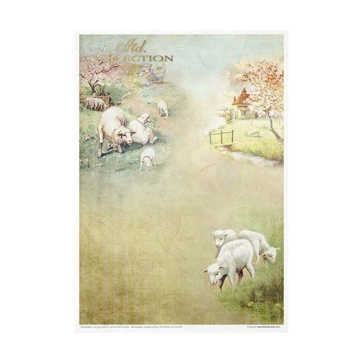 Creatieve set RP051 Lente-impressies