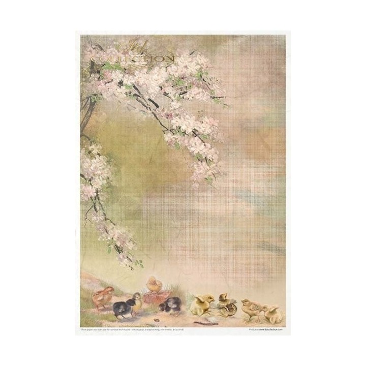 Creatieve set RP051 Lente-impressies