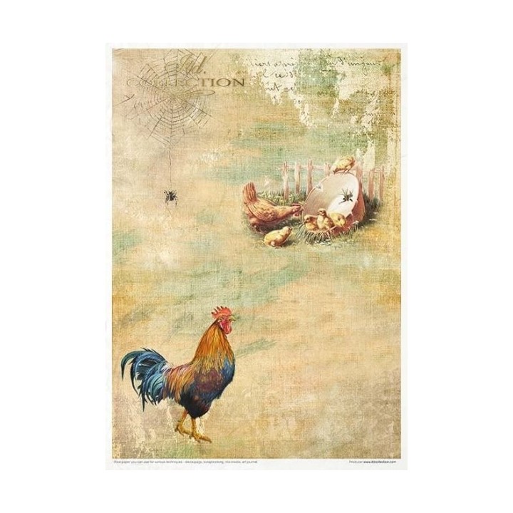 Creatieve set RP051 Lente-impressies