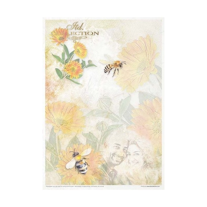Creatieve set RP061 Zomerliefdesverhaal deel 1