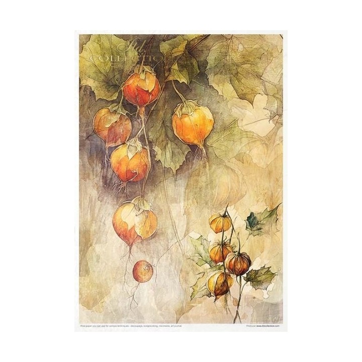 Creatieve set RP064 Herfstliefdesverhaal