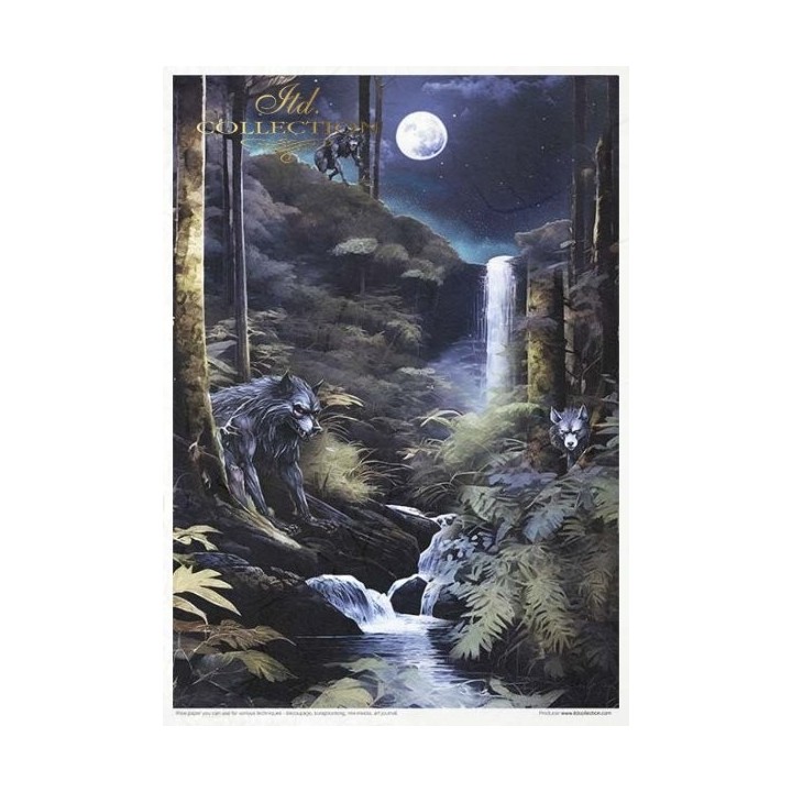 Creatieve set RP066 Mysterieuze wezens