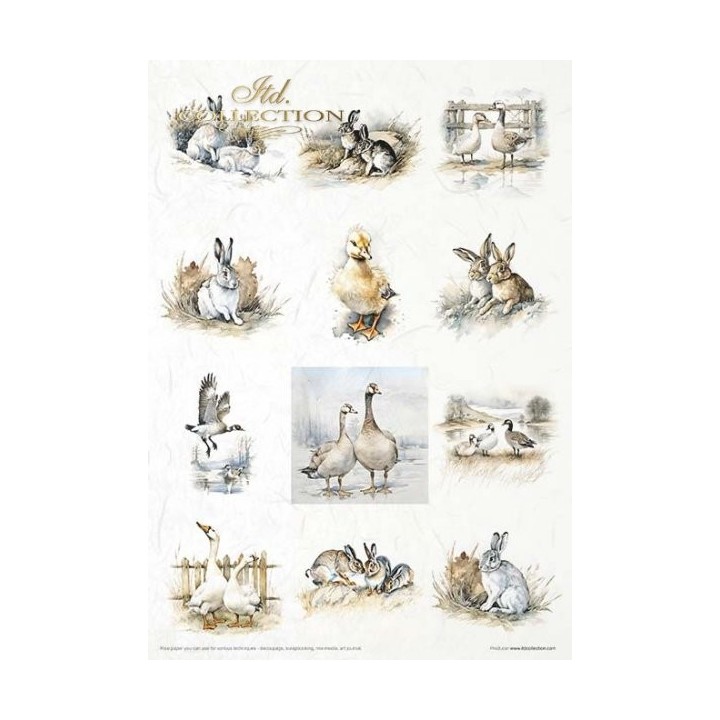 Creatieve set RP068 Vroege lente
