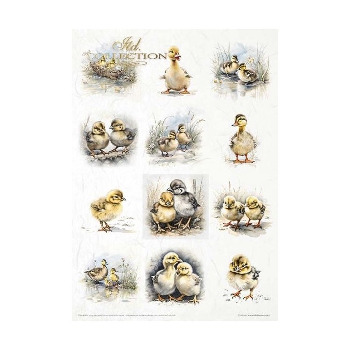 Creatieve set RP068 Vroege lente