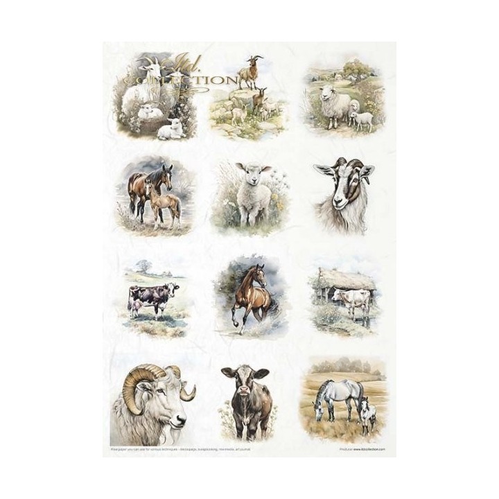 Creatieve set RP068 Vroege lente
