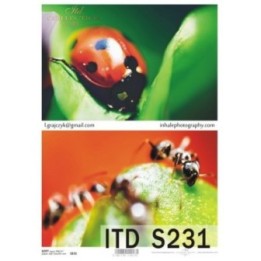 Decoupagepapier Zacht ITD S0231