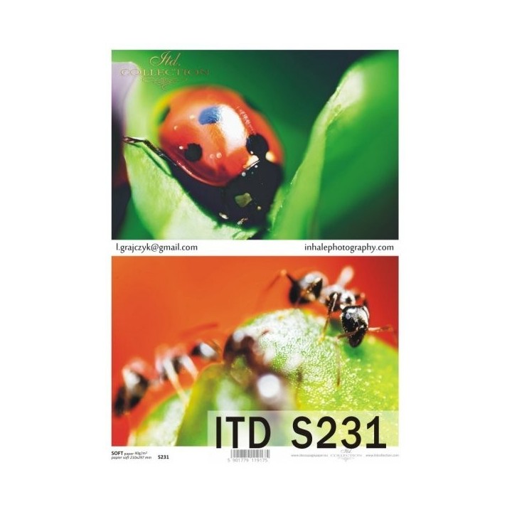 Decoupagepapier Zacht ITD S0231